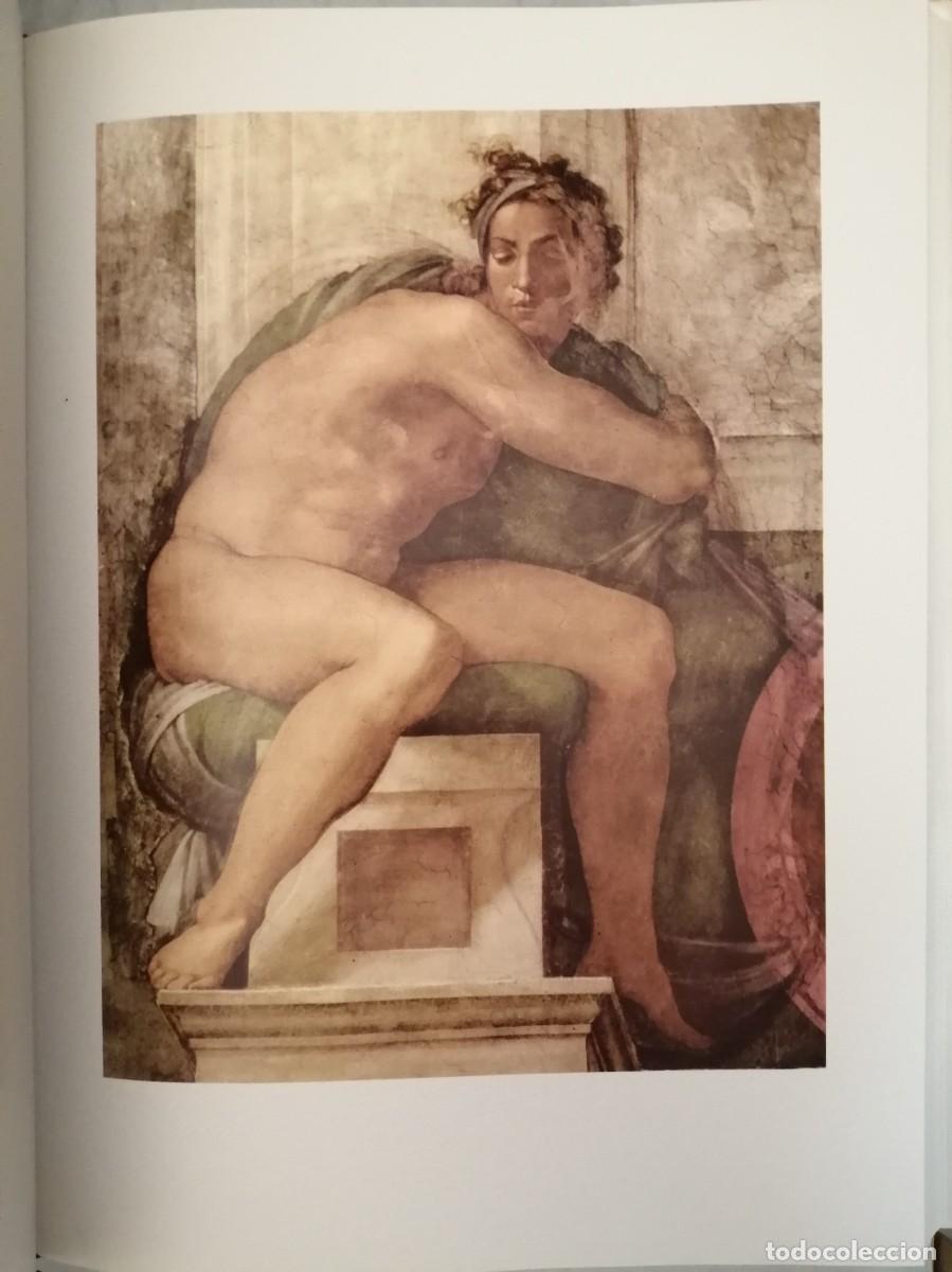 Libros de segunda mano: Michelangelo: The Painter (First edition, Hardcover) - Foto 6