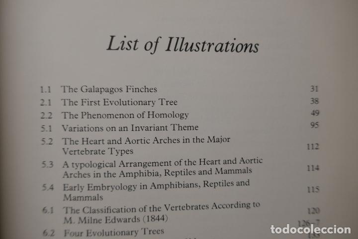 Libros de segunda mano: EVOLUTION: A THEORY IN CRISIS - MICHAEL DENTON (EN INGL&Eacute;S) - Foto 7