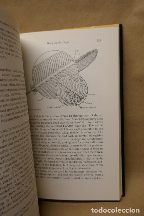 Libros de segunda mano: EVOLUTION: A THEORY IN CRISIS - MICHAEL DENTON (EN INGL&Eacute;S) - Foto 9