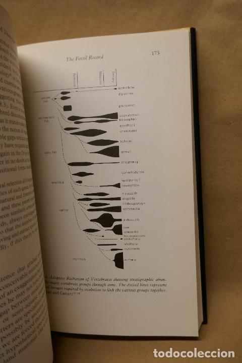 Libros de segunda mano: EVOLUTION: A THEORY IN CRISIS - MICHAEL DENTON (EN INGL&Eacute;S) - Foto 10
