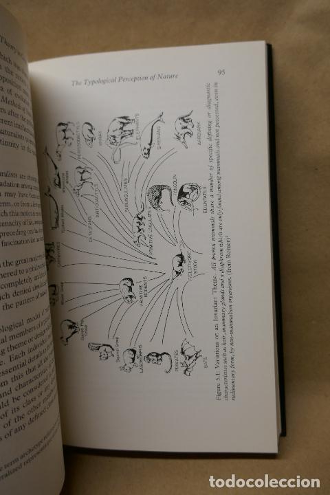 Libros de segunda mano: EVOLUTION: A THEORY IN CRISIS - MICHAEL DENTON (EN INGL&Eacute;S) - Foto 11