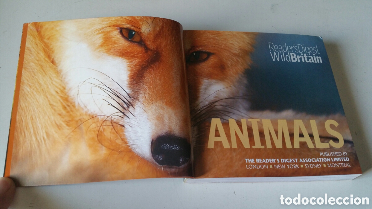 Libros de segunda mano: Animals, Readers Digest. Wild Britain - Foto 4