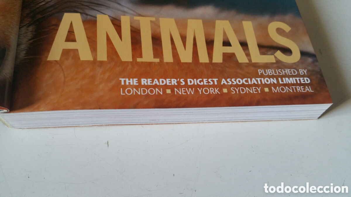 Libros de segunda mano: Animals, Readers Digest. Wild Britain - Foto 5
