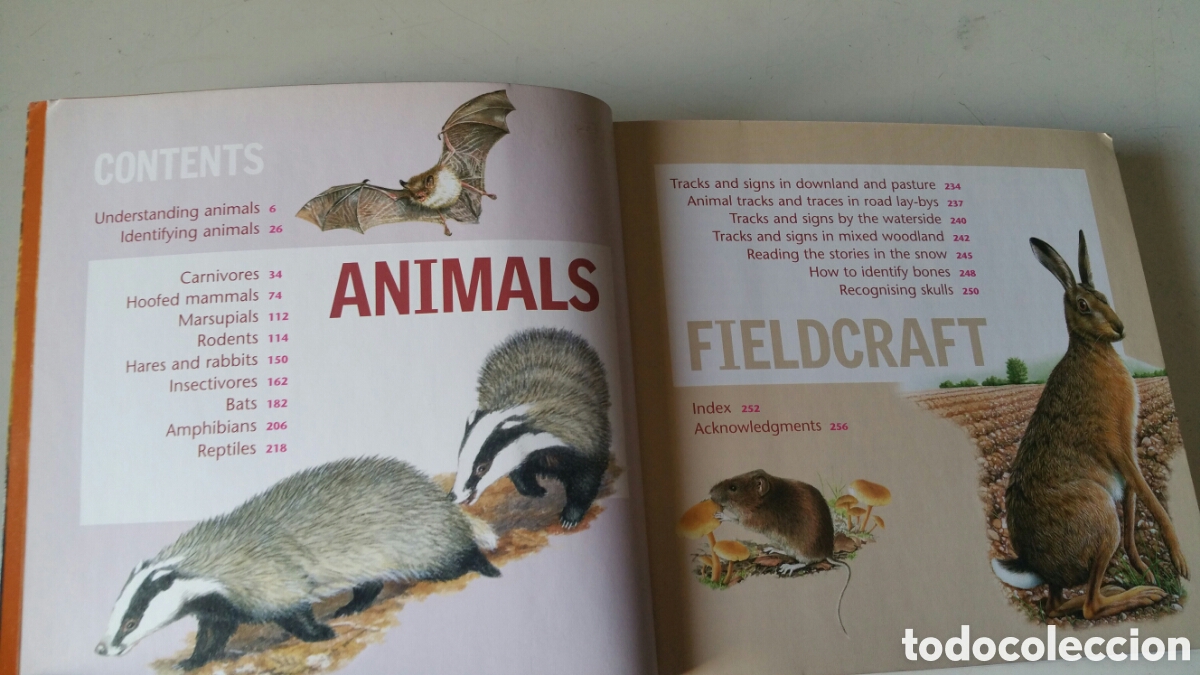 Libros de segunda mano: Animals, Readers Digest. Wild Britain - Foto 6