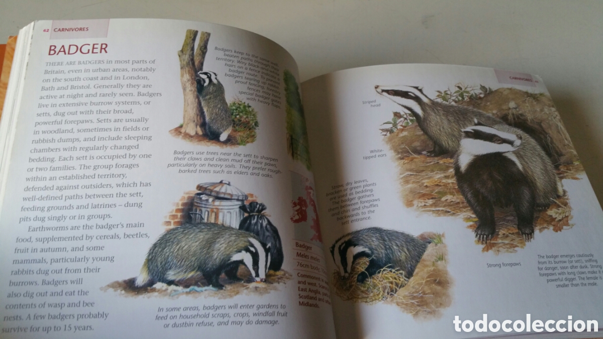 Libros de segunda mano: Animals, Readers Digest. Wild Britain - Foto 9