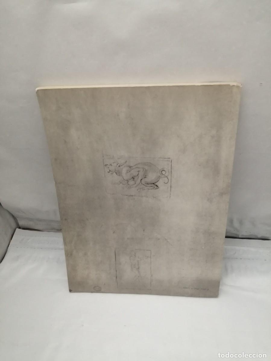 Libros de segunda mano: Drawings by Michelangelo - Foto 2