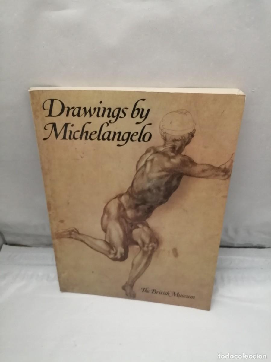 Libros de segunda mano: Drawings by Michelangelo - Foto 1