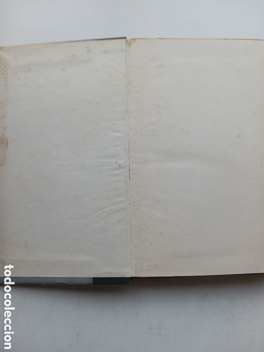 Libros de segunda mano: Greyfriars Bobby Eleanor Atkinson 1962 ingl&eacute;s - Foto 5