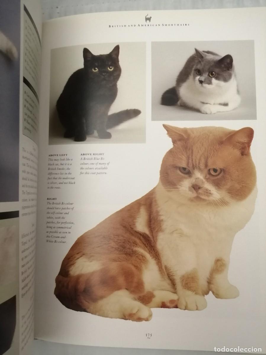 Libros de segunda mano: The Complete Cat Book (Hardcover) - Foto 5