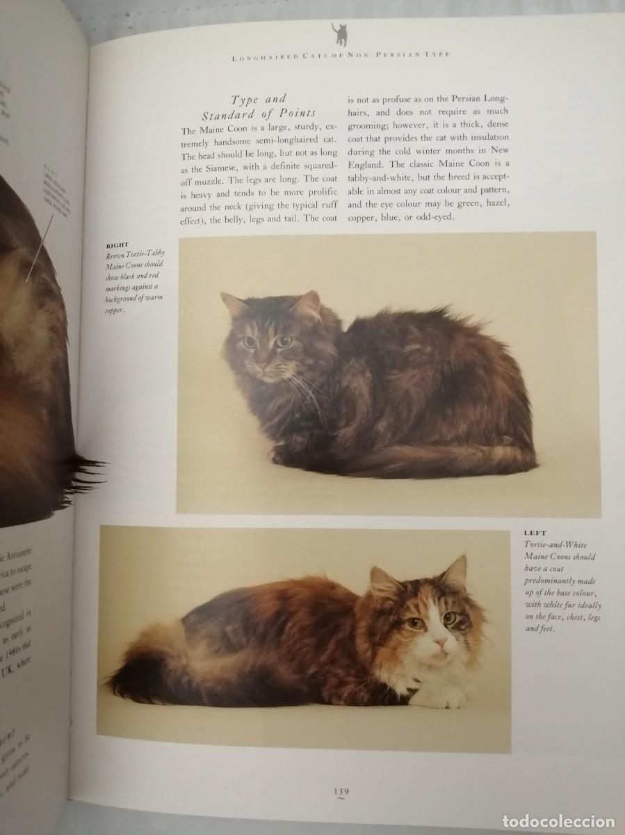 Libros de segunda mano: The Complete Cat Book (Hardcover) - Foto 6