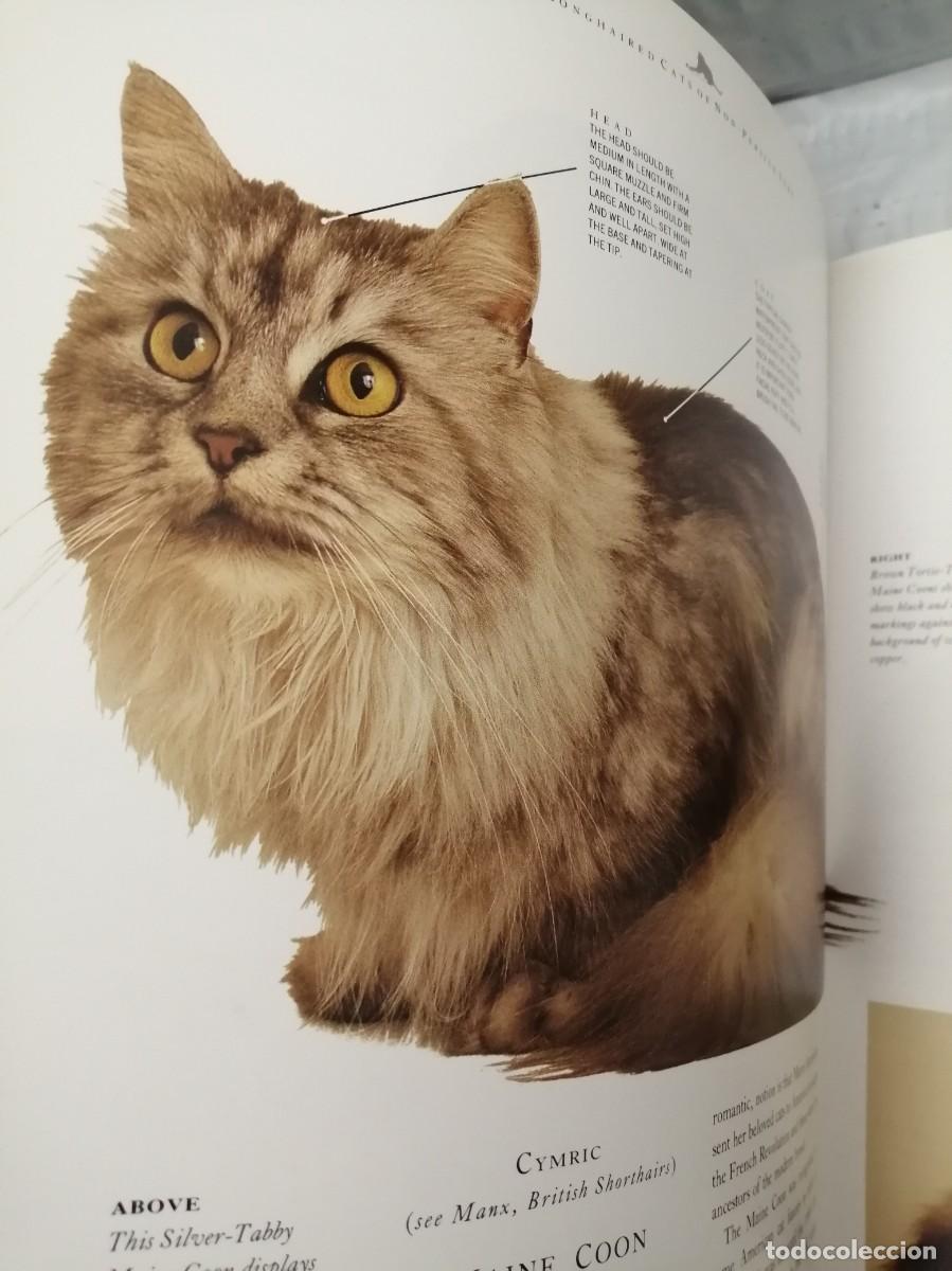Libros de segunda mano: The Complete Cat Book (Hardcover) - Foto 7
