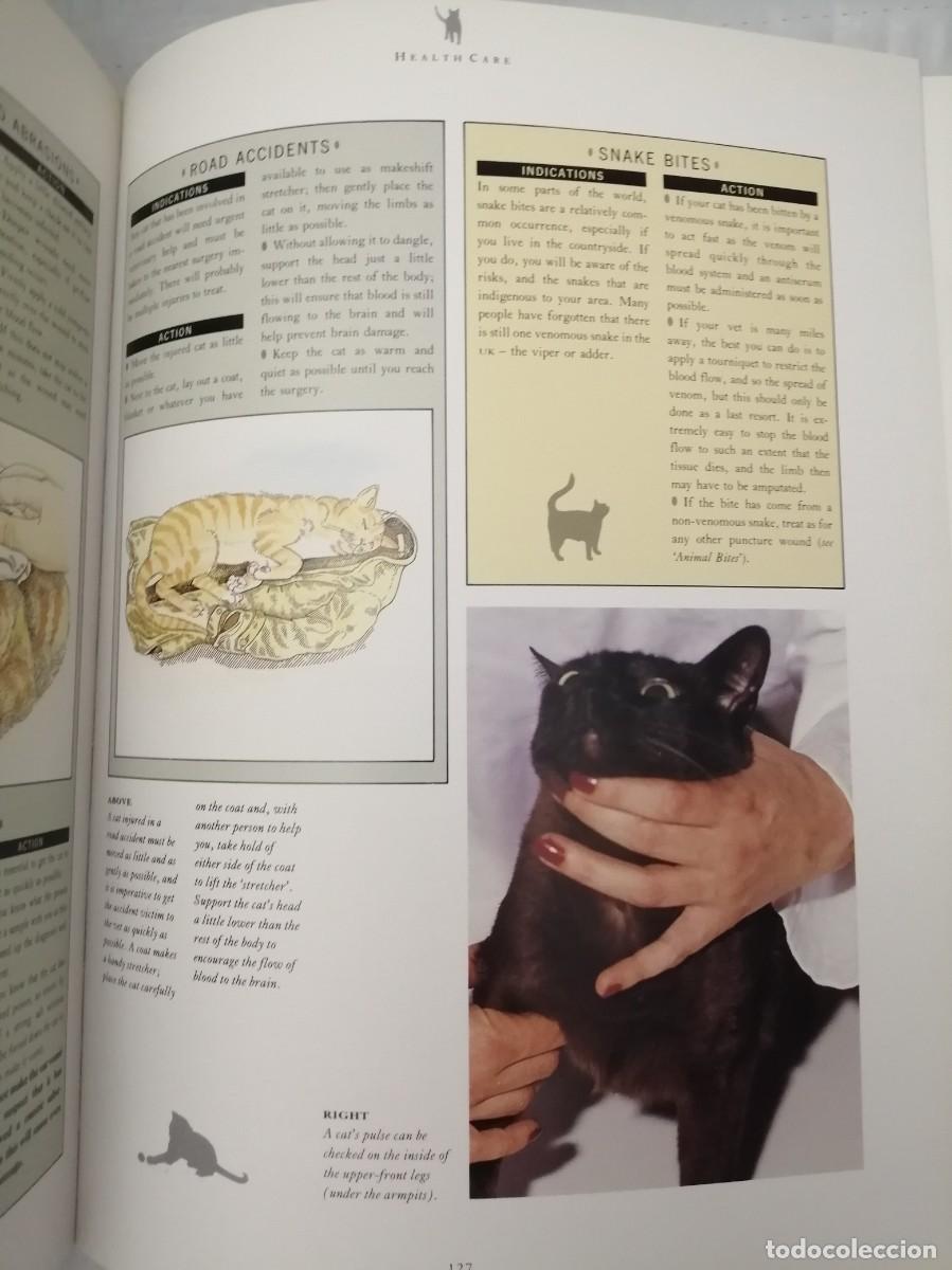 Libros de segunda mano: The Complete Cat Book (Hardcover) - Foto 8