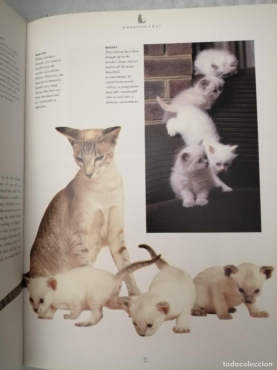 Libros de segunda mano: The Complete Cat Book (Hardcover) - Foto 10