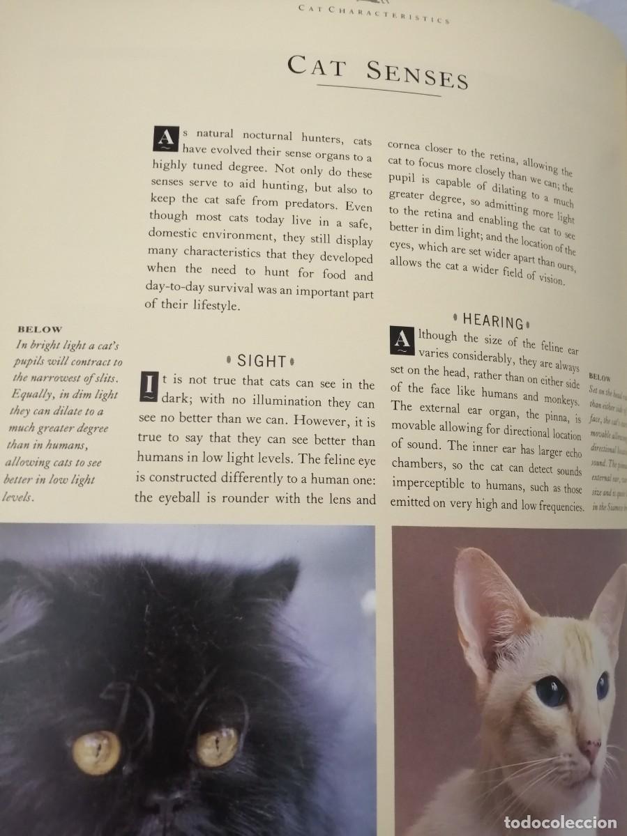 Libros de segunda mano: The Complete Cat Book (Hardcover) - Foto 11