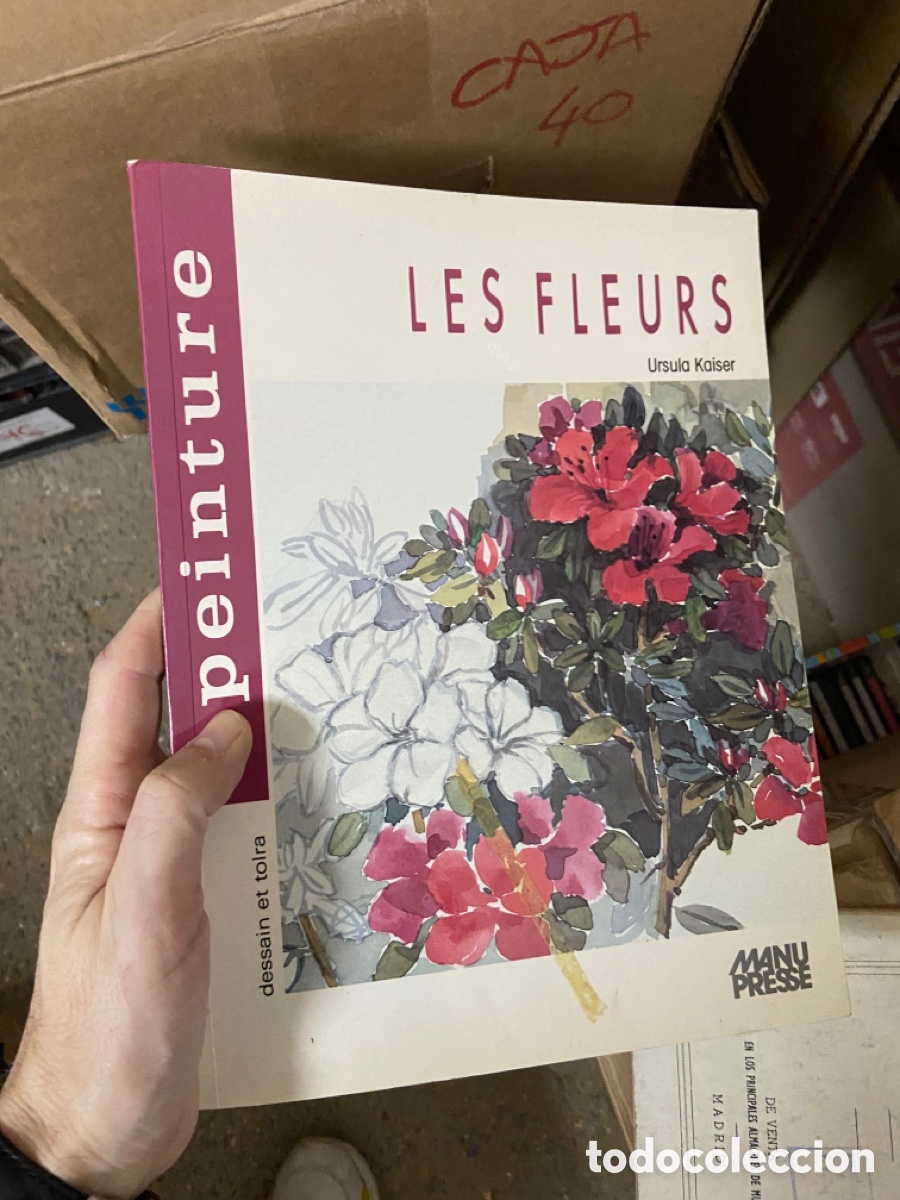 Libros de segunda mano: Caja40 LES FLEURS Ursula Kaiser - Foto 1