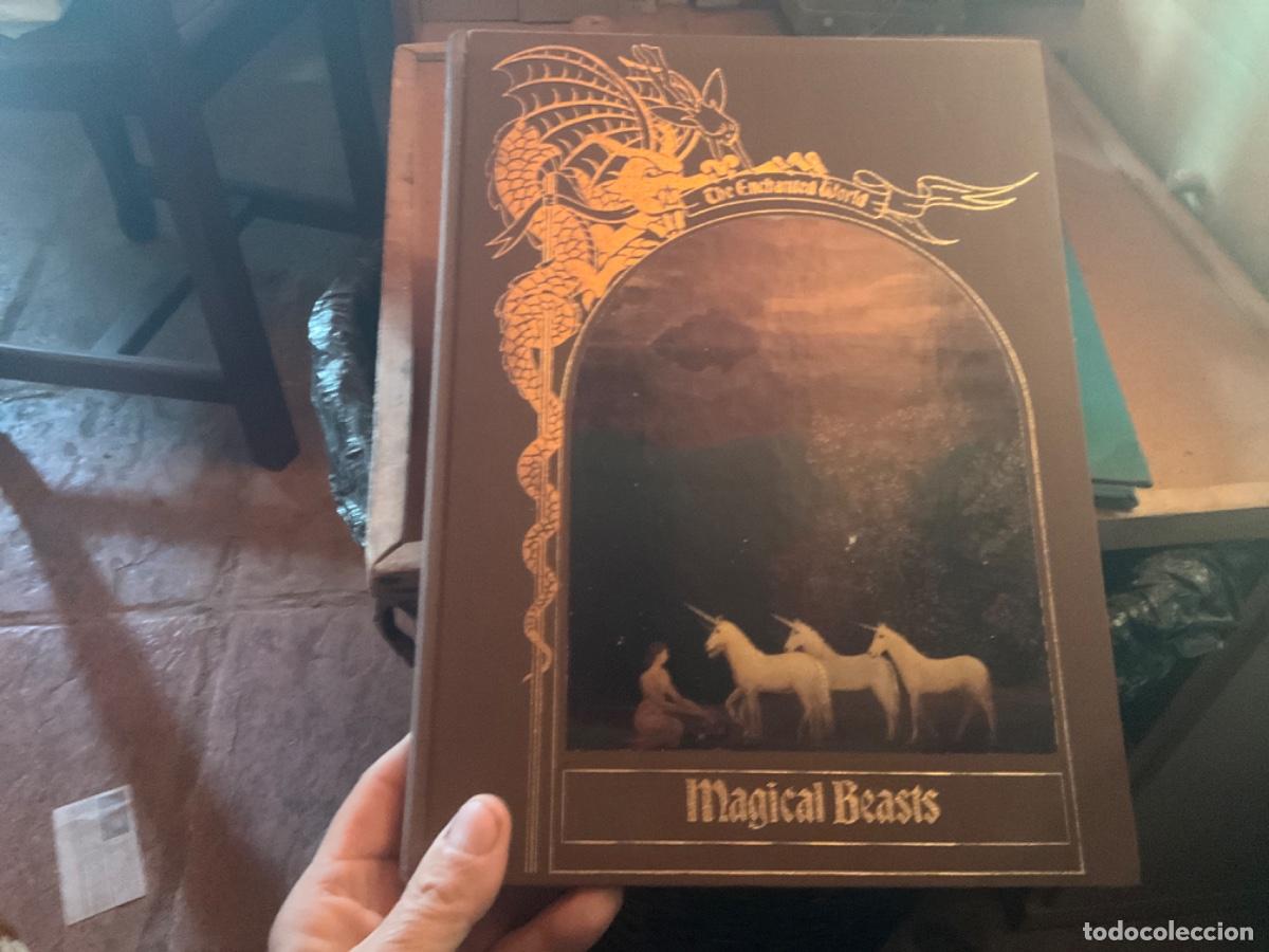 Gebrauchte B&uuml;cher: The Enchanted World: magical beasts Editorial: Time-ilustraciones maravillosas