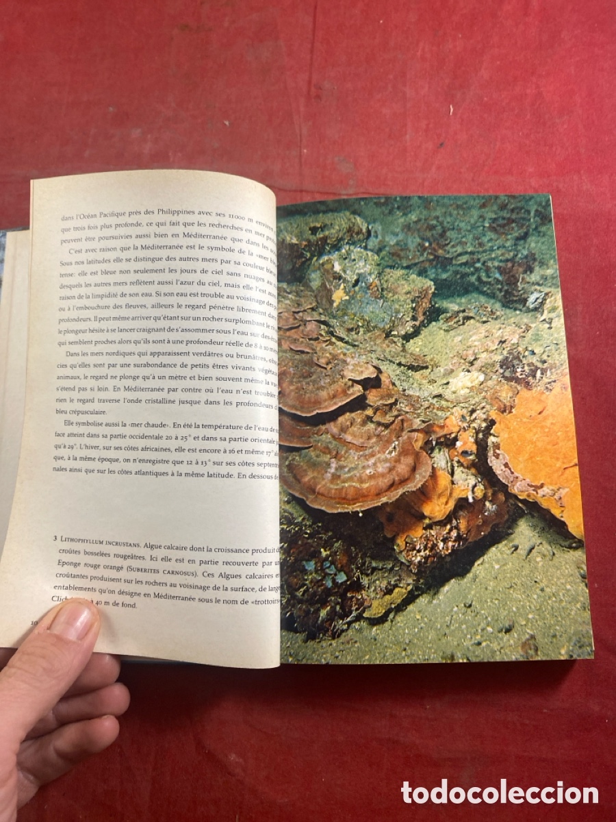 Libros de segunda mano: LE MONDE SOUS MARIN - Foto 3