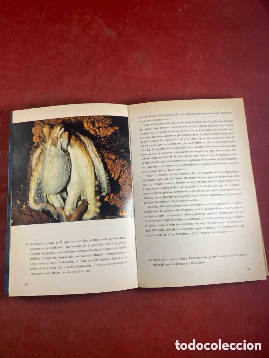 Libros de segunda mano: LE MONDE SOUS MARIN - Foto 4