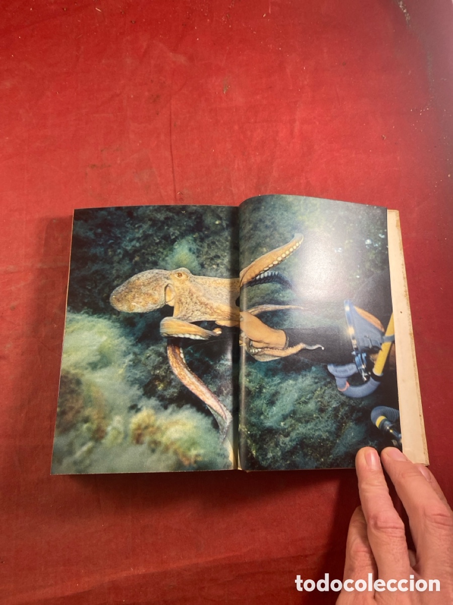 Libros de segunda mano: LE MONDE SOUS MARIN - Foto 5