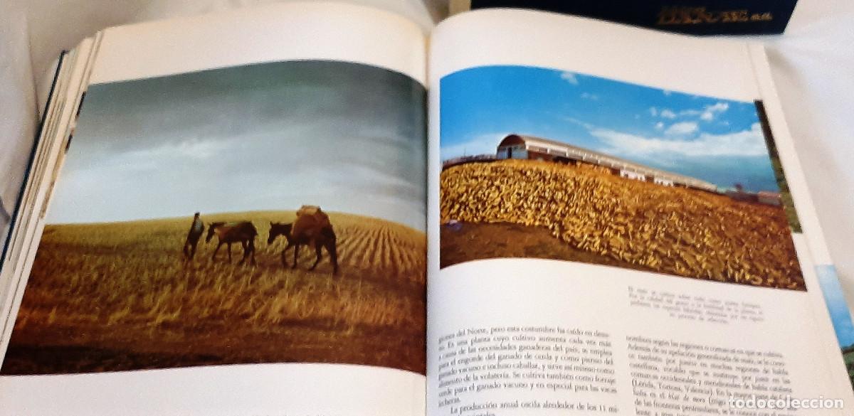 Libros de segunda mano: Geograf&iacute;a de Espa&ntilde;a. 2 tomos - Foto 7