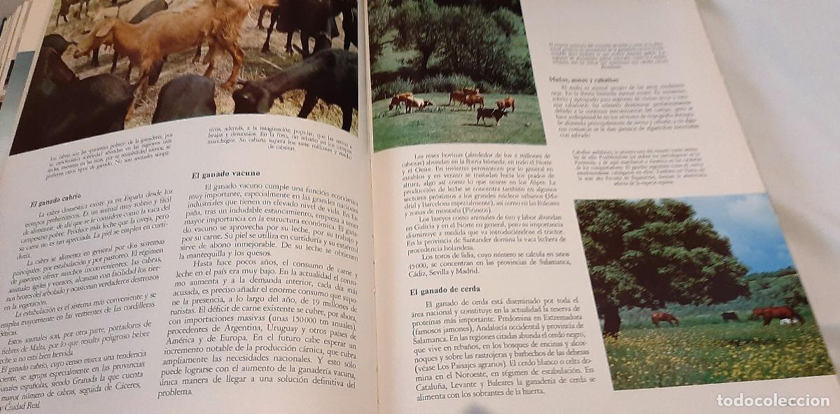 Libros de segunda mano: Geograf&iacute;a de Espa&ntilde;a. 2 tomos - Foto 8