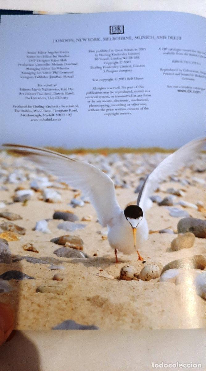 Libros de segunda mano: RSPB Birdwatching de Rob Hume (Autor - Foto 3