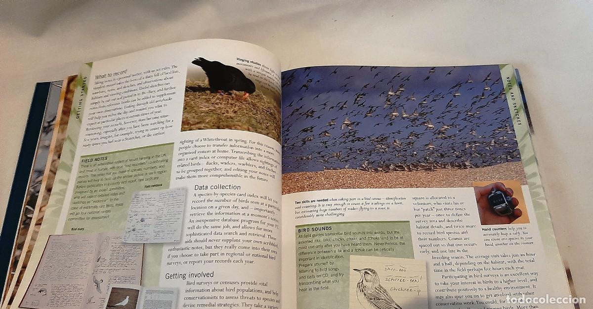 Libros de segunda mano: RSPB Birdwatching de Rob Hume (Autor - Foto 5