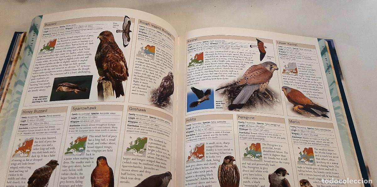 Libros de segunda mano: RSPB Birdwatching de Rob Hume (Autor - Foto 6