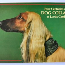 Libros de segunda mano: FOUR CENTURIES OF DOG COLLARS AT LEEDS CASTLE. 1979. ILUSTRADO.TAPA BLANDA.COLECCIÓN COLLARES PERROS