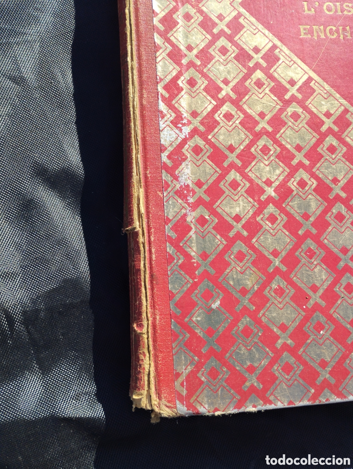 Libros de segunda mano: LOiseau Enchant&eacute;. M. Chassang. - Foto 2