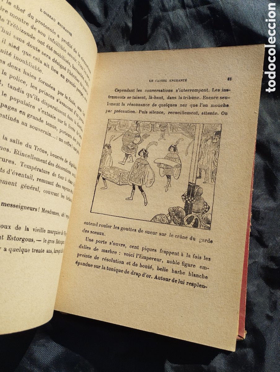 Libros de segunda mano: LOiseau Enchant&eacute;. M. Chassang. - Foto 5