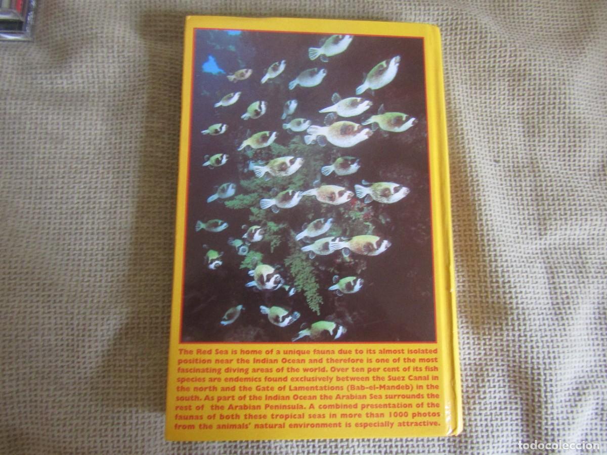 Libros de segunda mano: Red Sea Reef Guide - Helmut Debelius - Foto 2