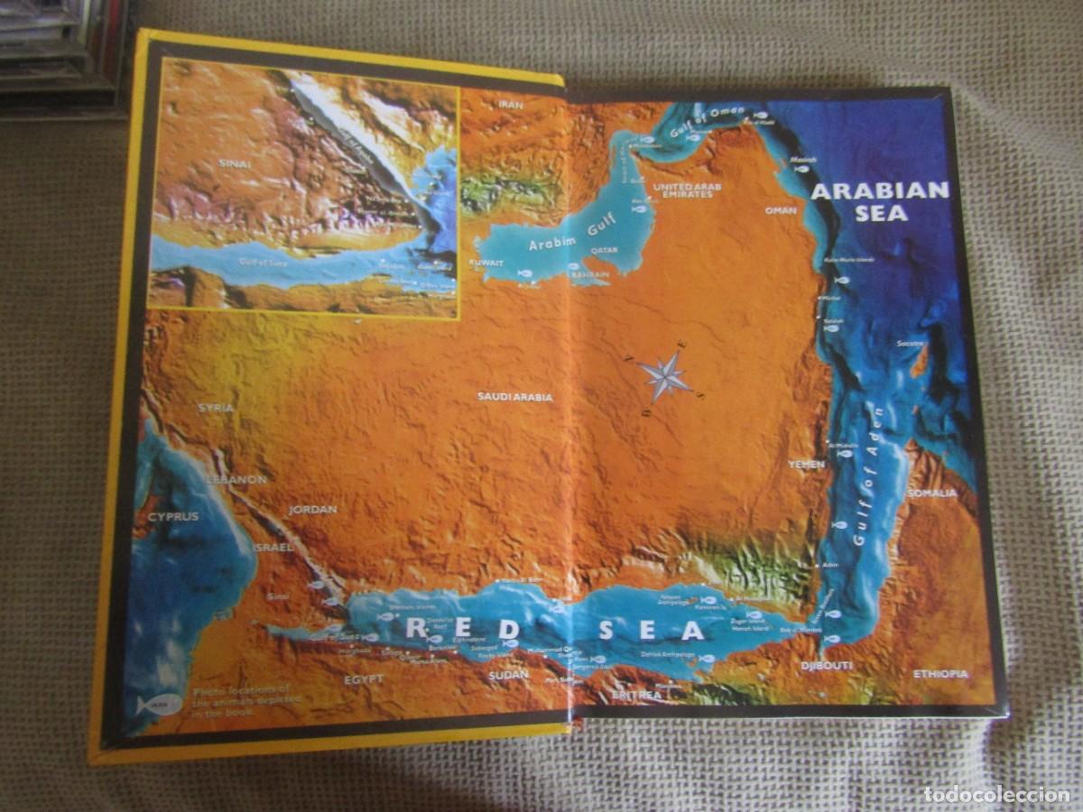 Libros de segunda mano: Red Sea Reef Guide - Helmut Debelius - Foto 3