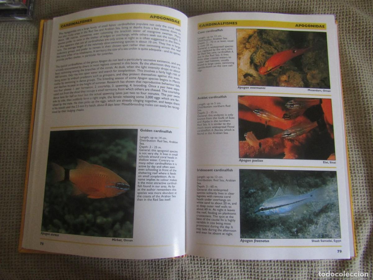 Libros de segunda mano: Red Sea Reef Guide - Helmut Debelius - Foto 7