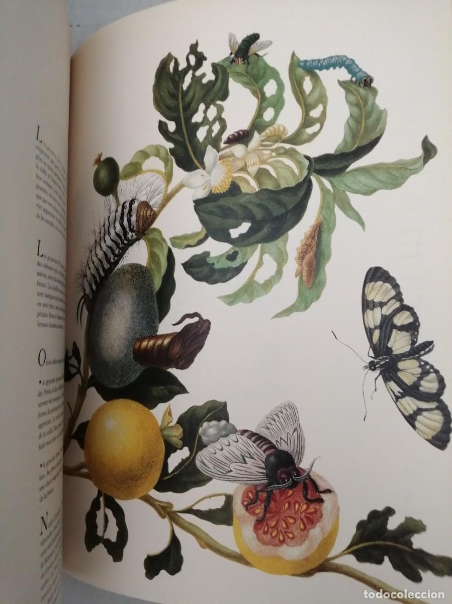Libros de segunda mano: Jacques Brosse: Les Fruits - Foto 3