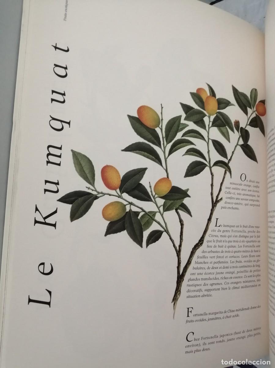 Libros de segunda mano: Jacques Brosse: Les Fruits - Foto 4