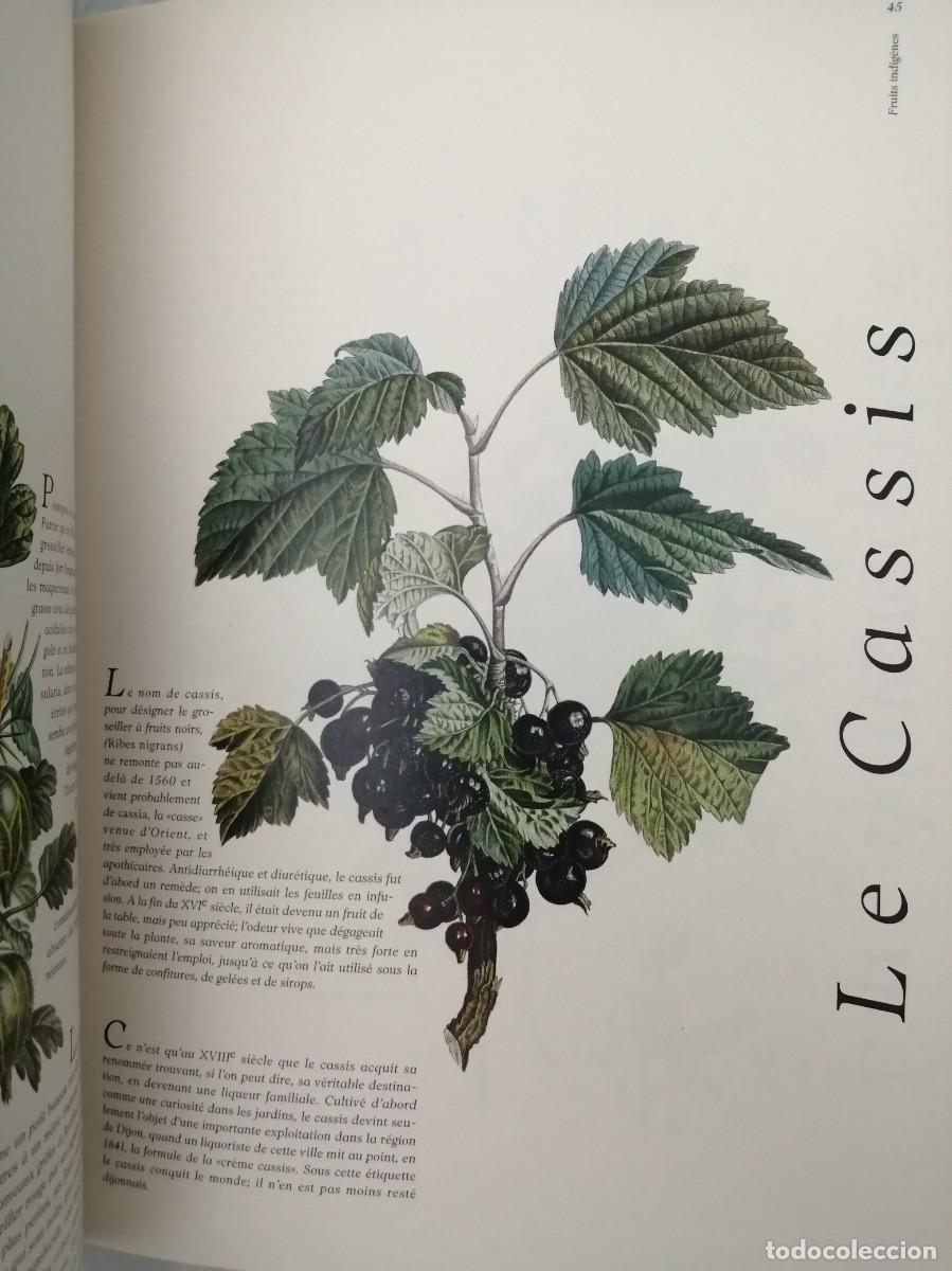 Libros de segunda mano: Jacques Brosse: Les Fruits - Foto 6