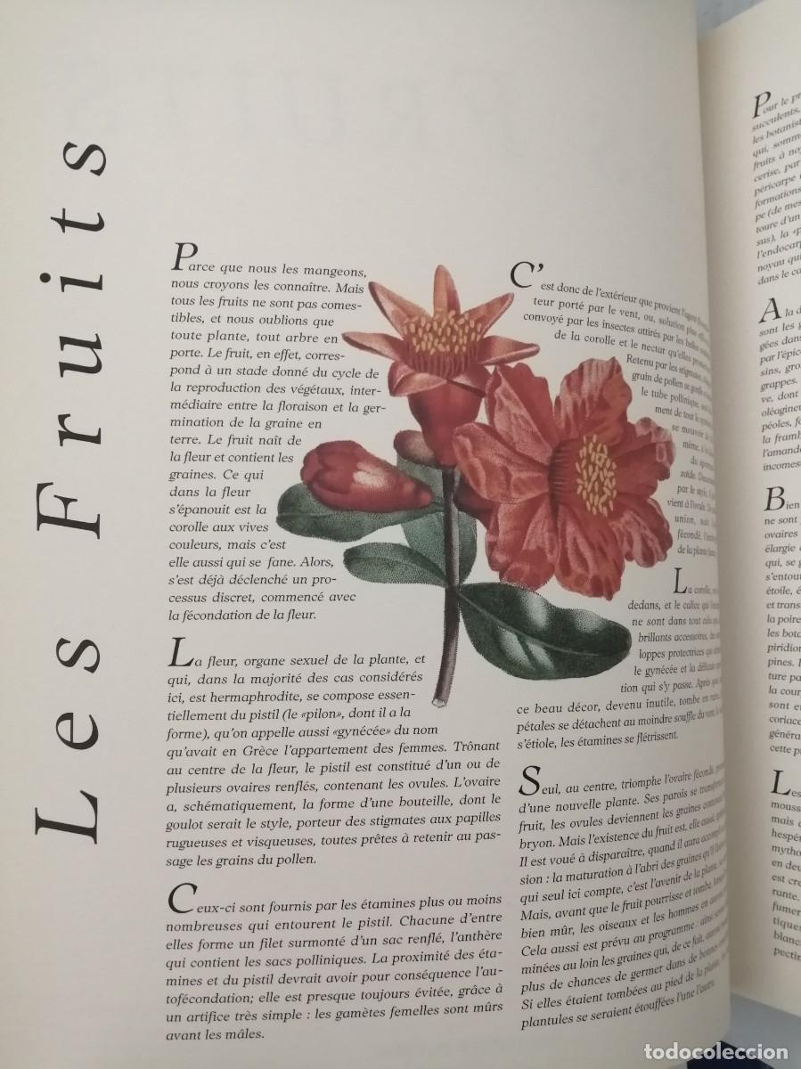 Libros de segunda mano: Jacques Brosse: Les Fruits - Foto 7