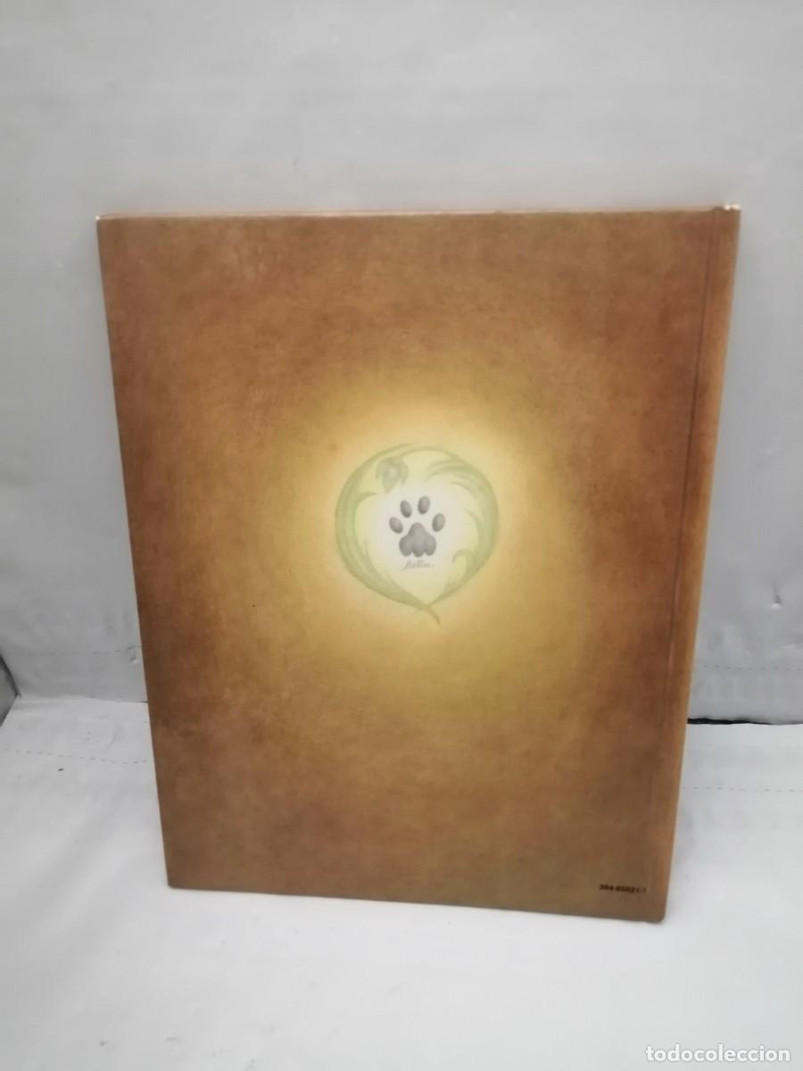 Libros de segunda mano: The Patchwork Cat (Hardcover) - Foto 2