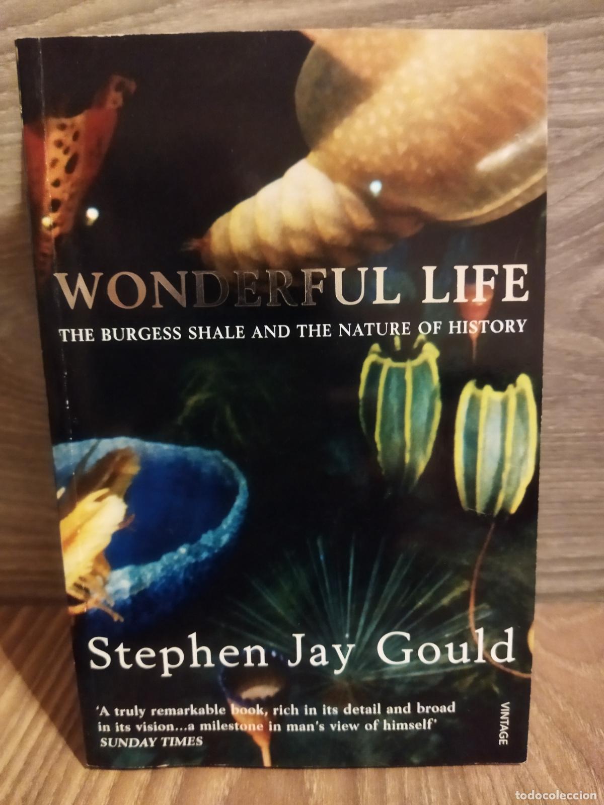 Libros de segunda mano: Wonderful Life - Foto 1
