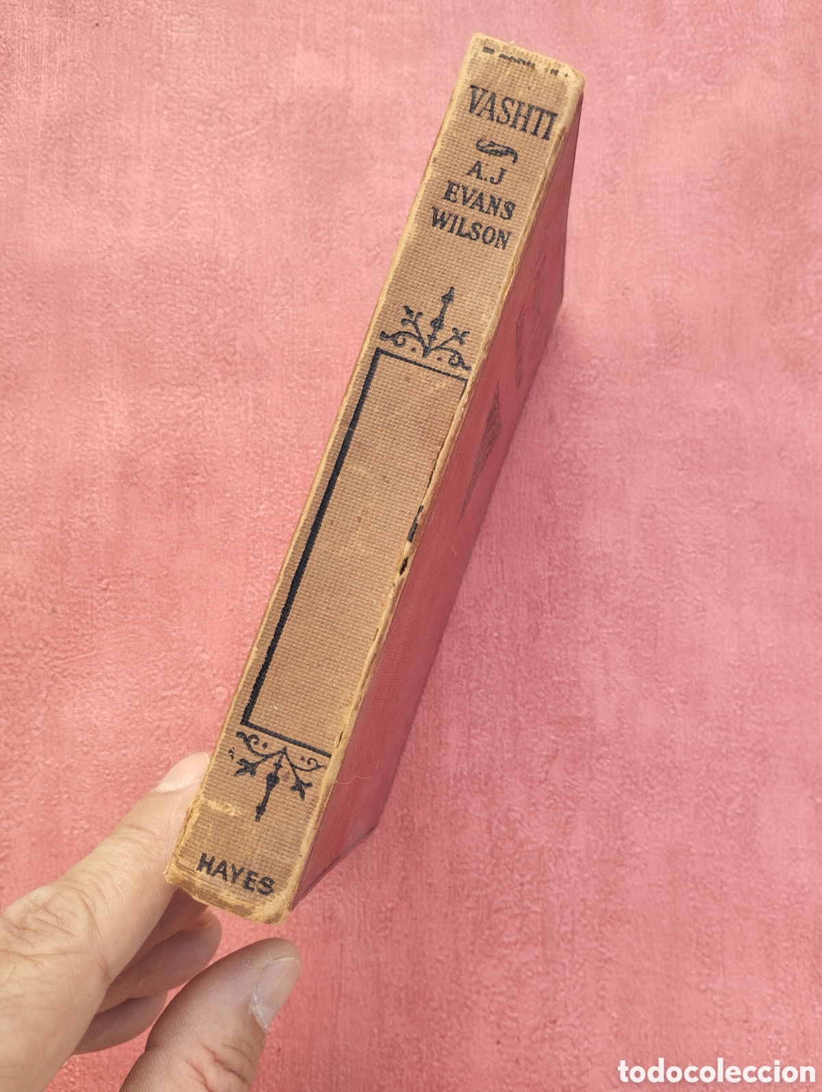 Libros de segunda mano: Vashti. A.J.Evans Wilson. - Foto 2