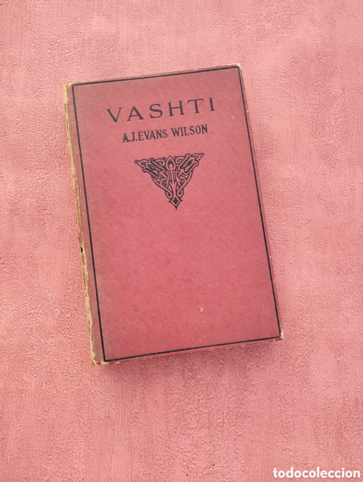 Libros de segunda mano: Vashti. A.J.Evans Wilson. - Foto 1