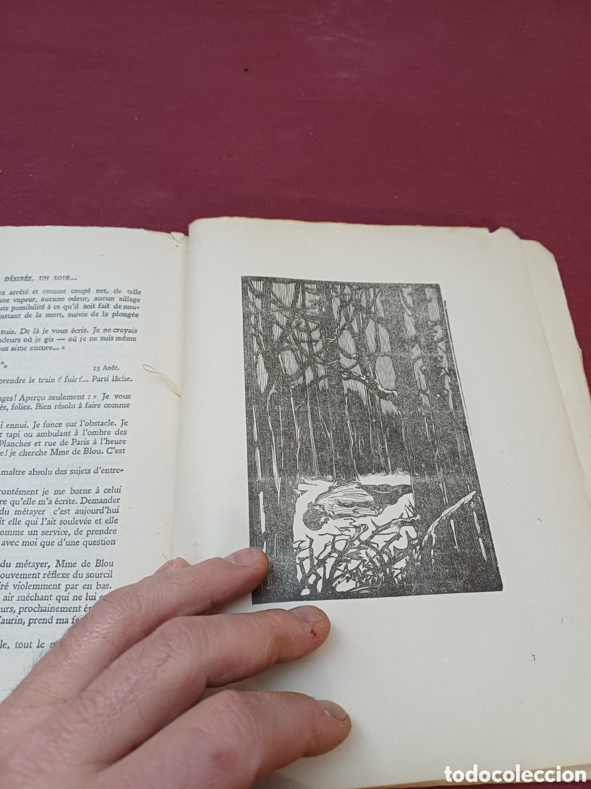 Libros de segunda mano: LIBRO EN FRANC&Eacute;S MUY RARO DE 1930, - Foto 11