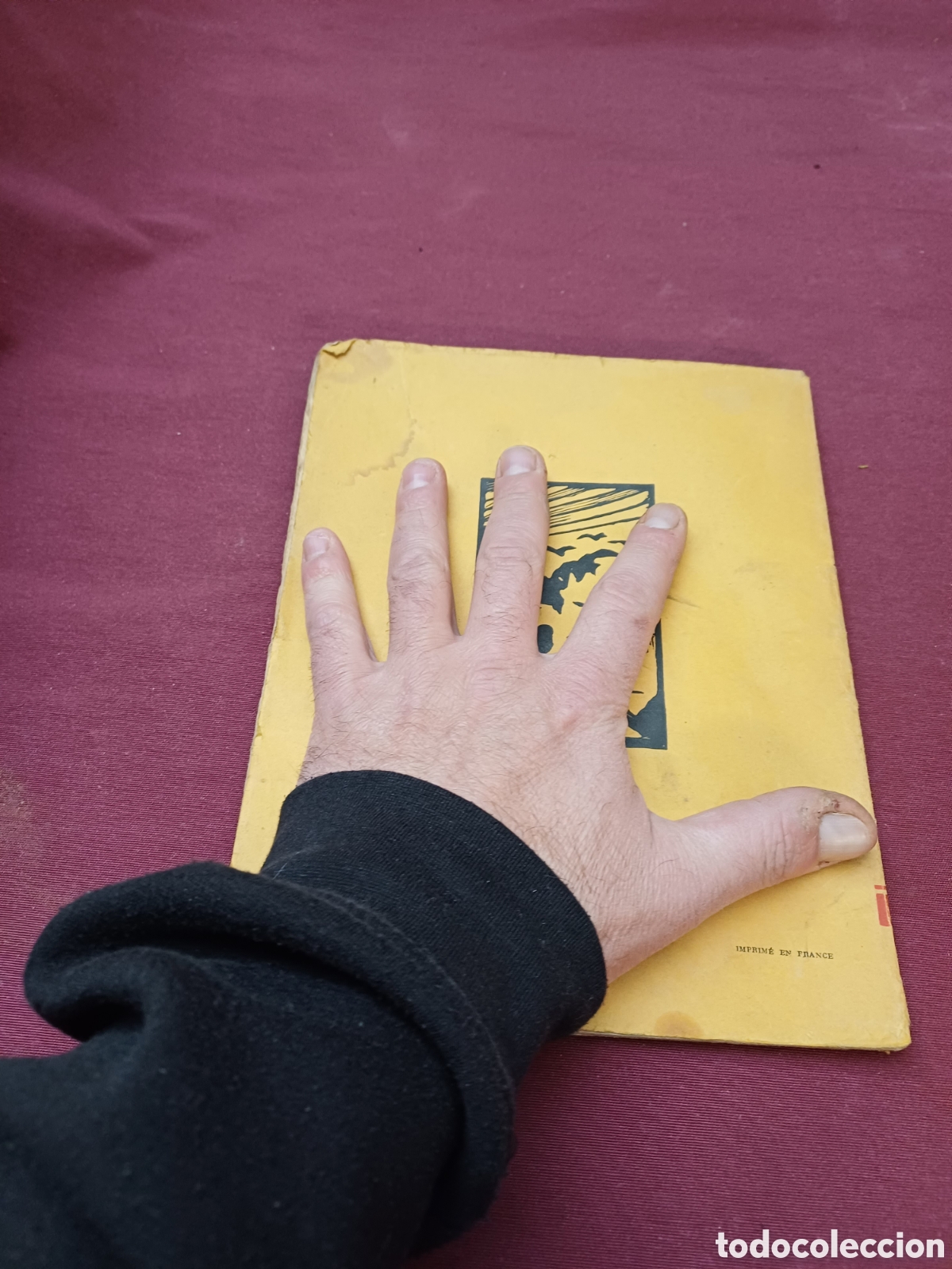 Libros de segunda mano: LIBRO EN FRANC&Eacute;S MUY RARO DE 1930, - Foto 14