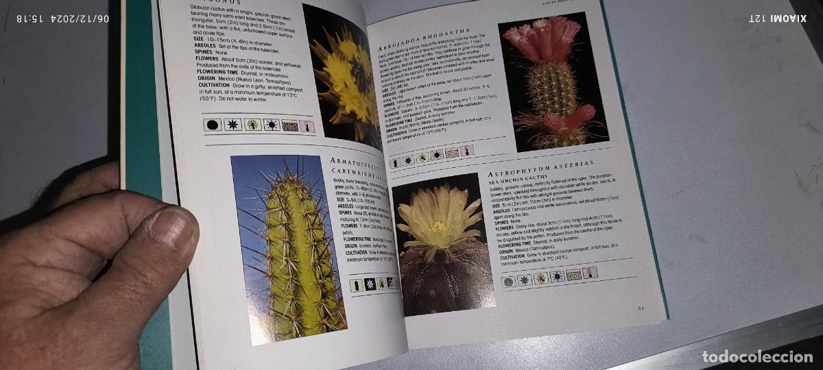 Libros de segunda mano: GUIA DE LOS CACTUS EN INGL&Eacute;S - Foto 2