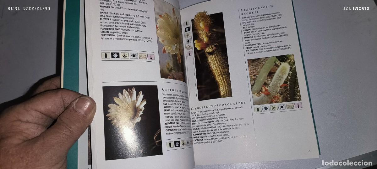 Libros de segunda mano: GUIA DE LOS CACTUS EN INGL&Eacute;S - Foto 3