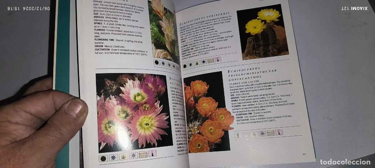 Libros de segunda mano: GUIA DE LOS CACTUS EN INGL&Eacute;S - Foto 4