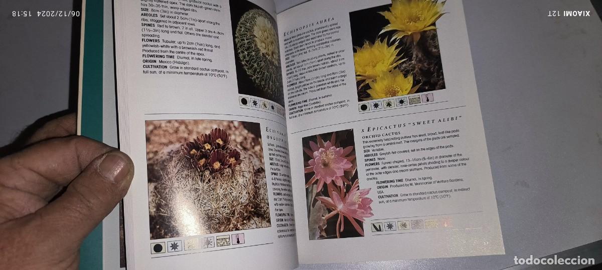 Libros de segunda mano: GUIA DE LOS CACTUS EN INGL&Eacute;S - Foto 5