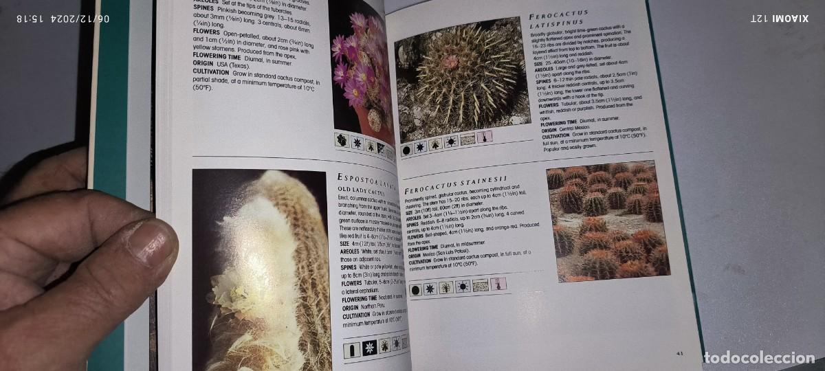 Libros de segunda mano: GUIA DE LOS CACTUS EN INGL&Eacute;S - Foto 6