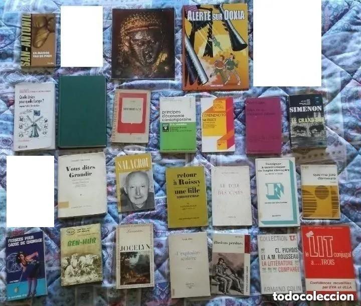 Libros de segunda mano: Lote de 23 libros en frances - Foto 1